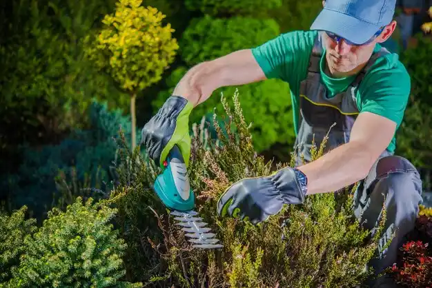 landscaping services New Florence